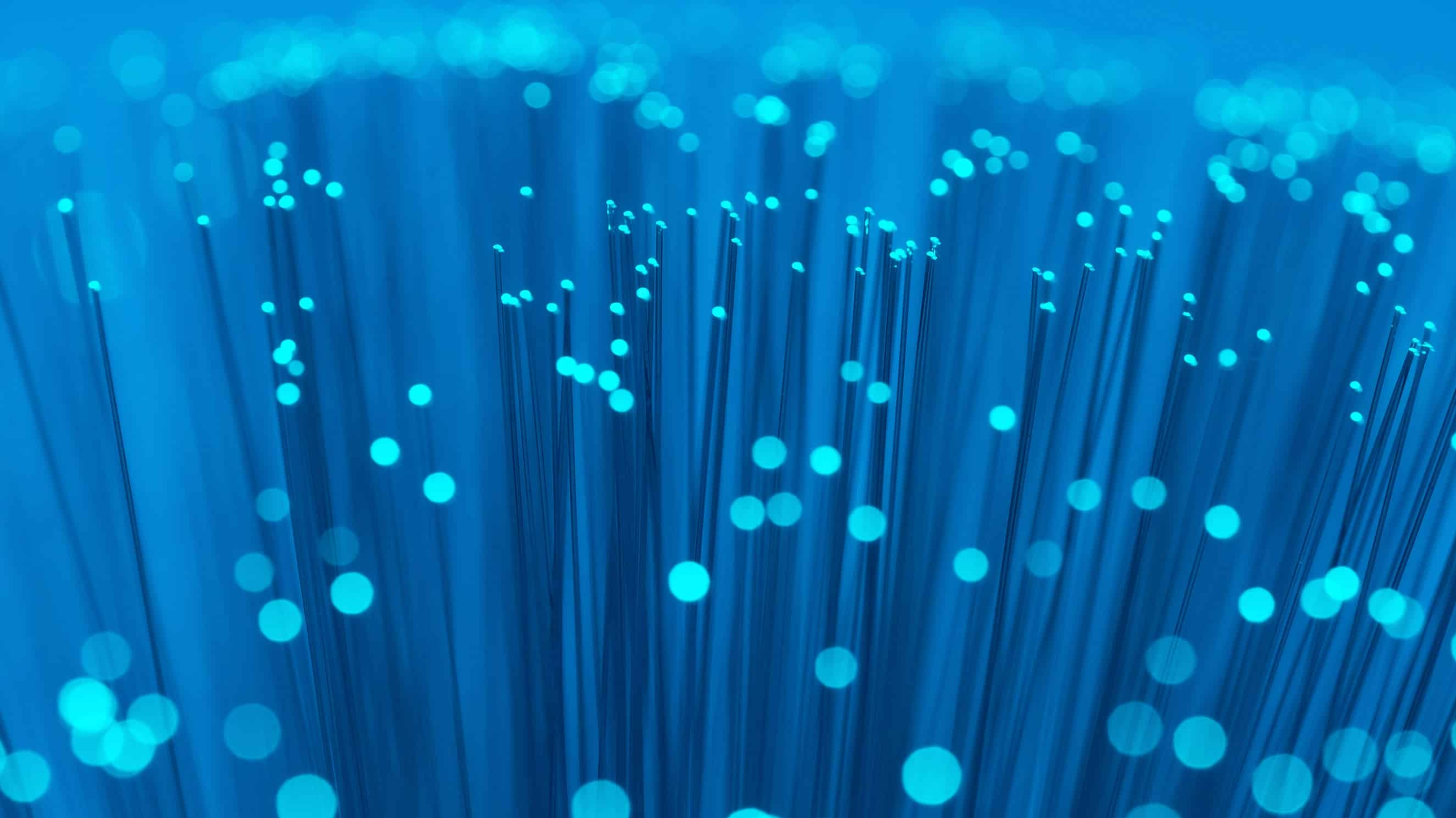 Ultra‑Low‑Loss Fiber and Optical Infrastructure