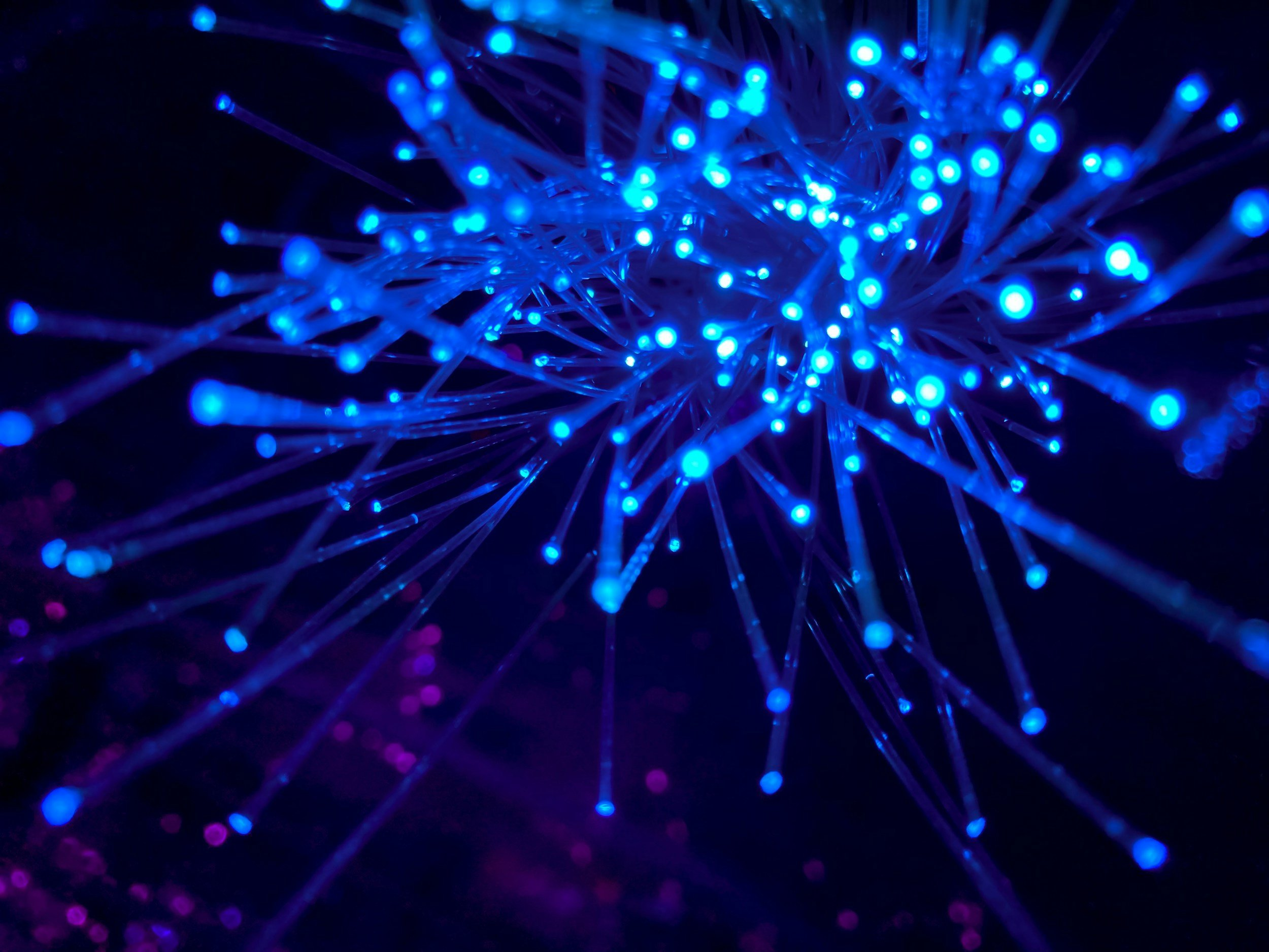 Aggregation Switches and EMS for Network Management